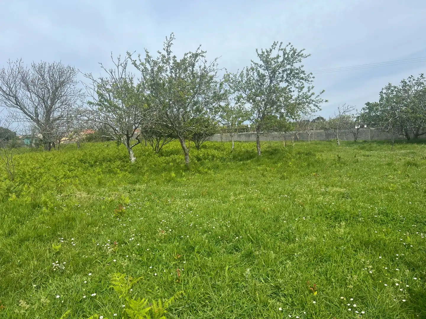 Terrenys i solars en venda a A Malata - Catabois - Ciudad Jardín, imagen 2