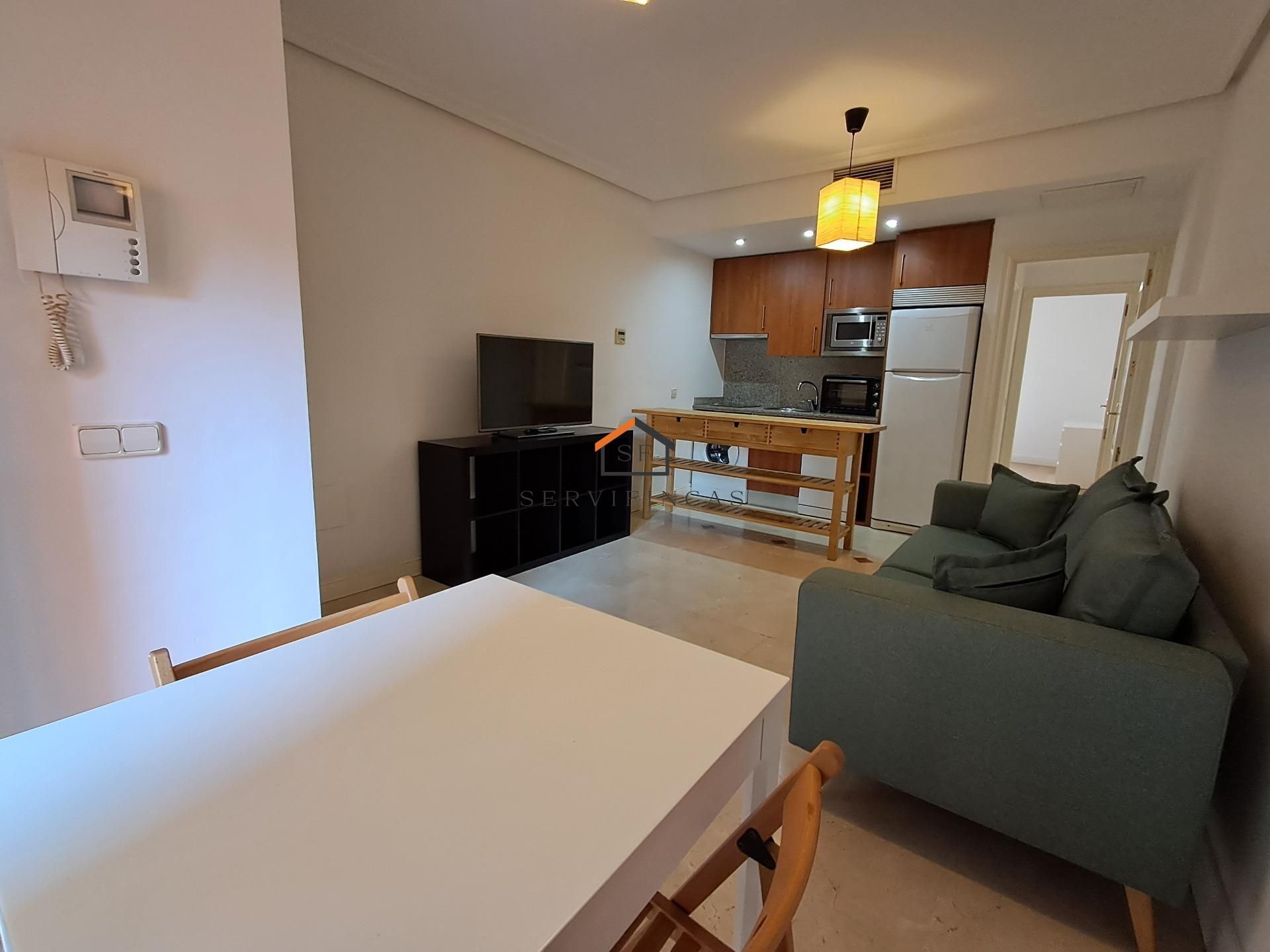 Living room of Flat to rent in  Madrid Capital  with Air Conditioner and Balcony