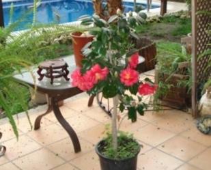 Garden of Single-family semi-detached for sale in Peñarroya-Pueblonuevo  with Air Conditioner, Terrace and Swimming Pool