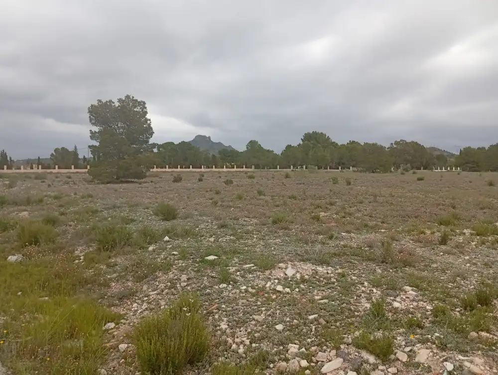 Residential land for sale in Salinas