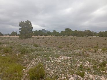 Terreny residencial en venda a Salinas