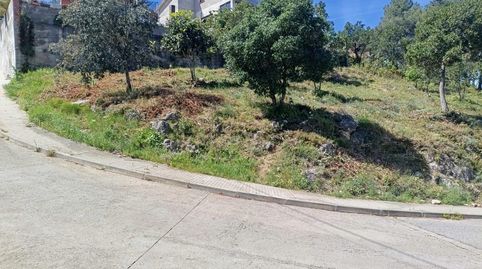 VENTA DE SOLAR EN MARTIVELL