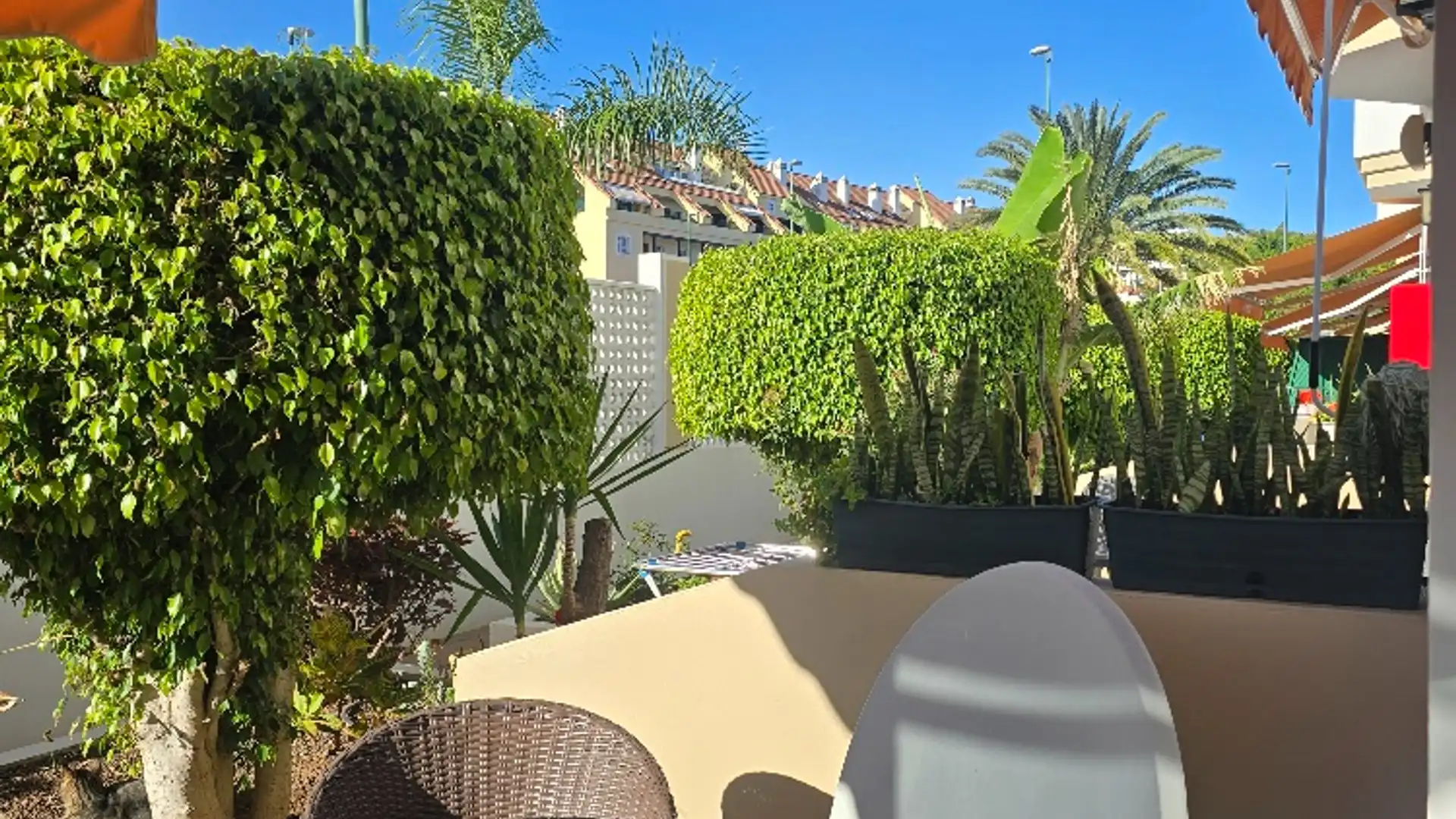 Wohnungen zur Miete in Calle Aceviño, 49, Zona Botánico