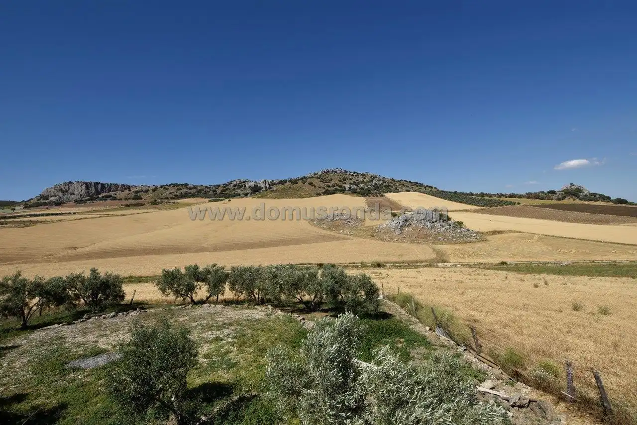 Terreny residencial en venda a Cuevas del Becerro, imagen 9