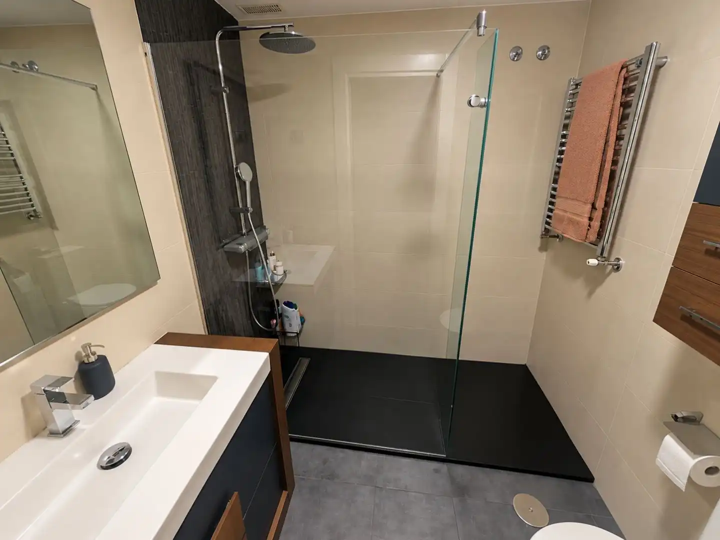 Baño de Casa o chalet en venta en Algete Centro