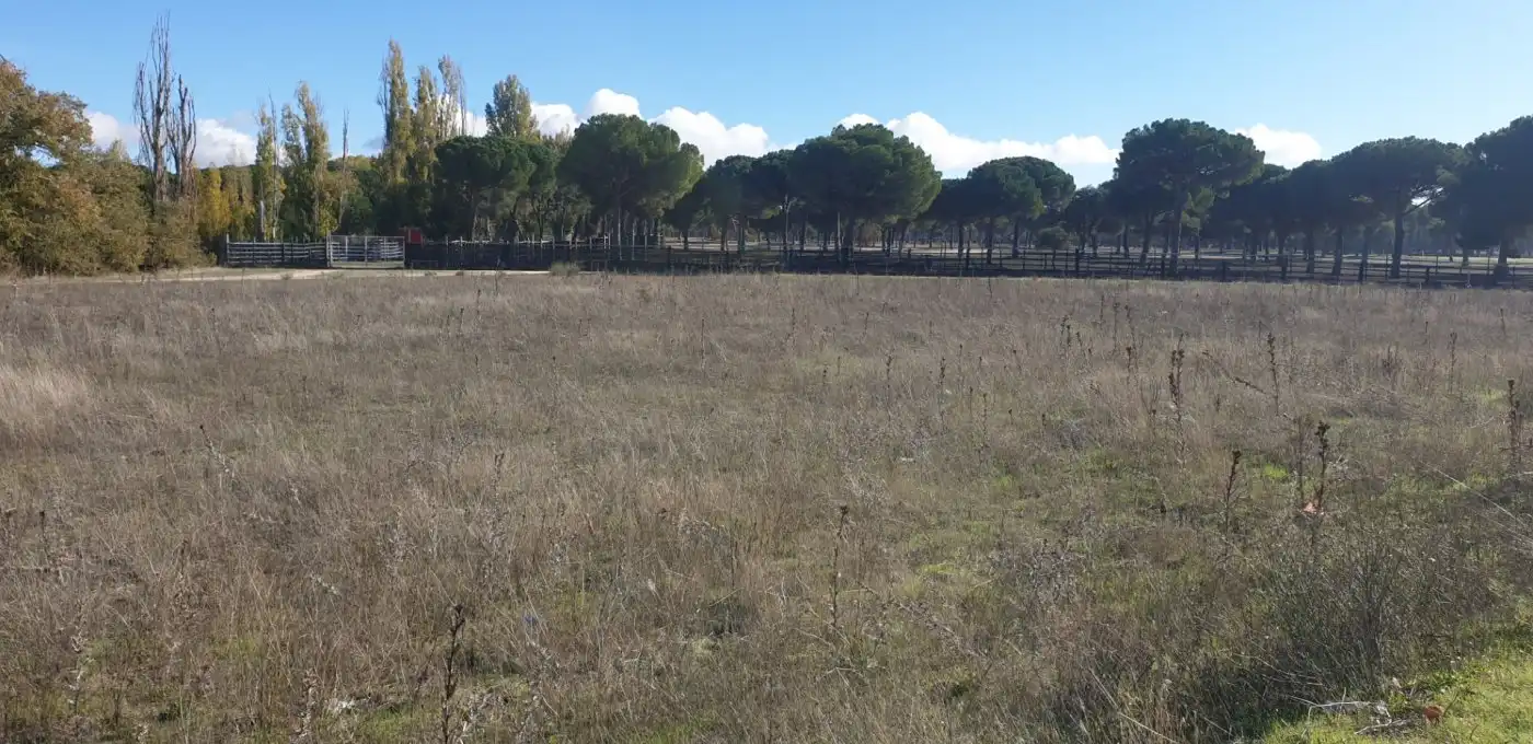 Terreni e lotti in vendita a Aldeamayor de San Martín, imagen 16