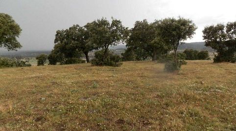 finca en venta ganadera recreo en Toledo, imatge 3