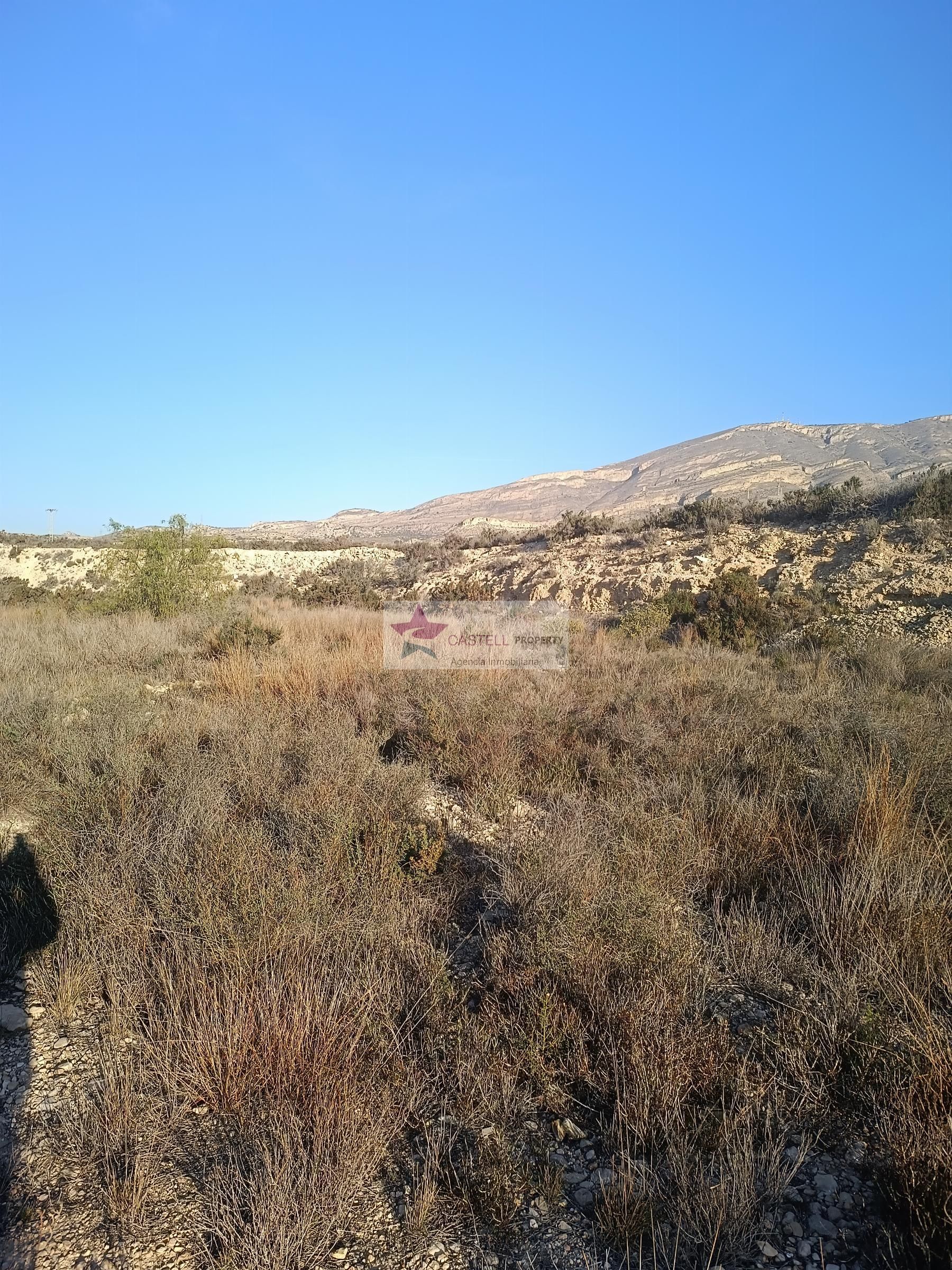 Finca rústica en venta en Monforte del Cid