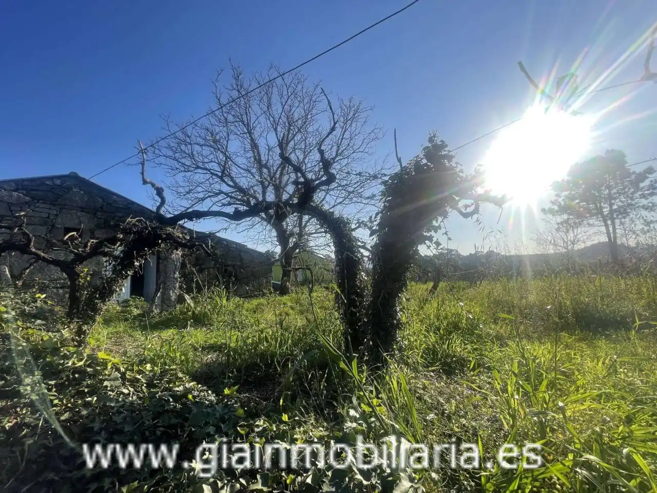 Casa con jardín en venta en Calle Xestal, imagen 13