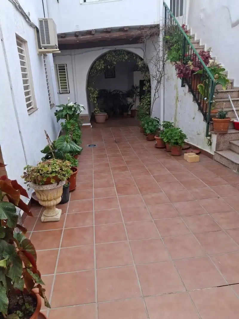 Pis amb jardí en venda a Centro Ciudad, imagen 2