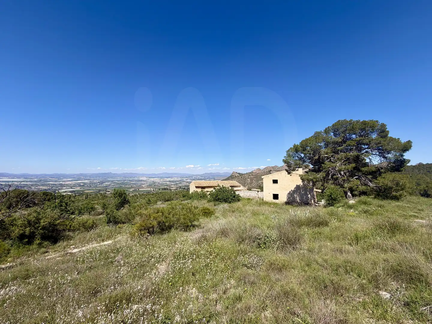 Terrain rustique à vendre à Cieza, imagen 6