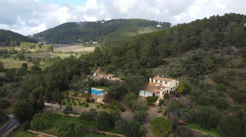 Foto 5 de Finca rústica de alquiler en Carretera Establiments-esporles, Establiments, Palma de Mallorca