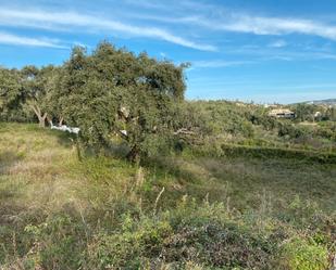 Residencial en venda en Sotogrande