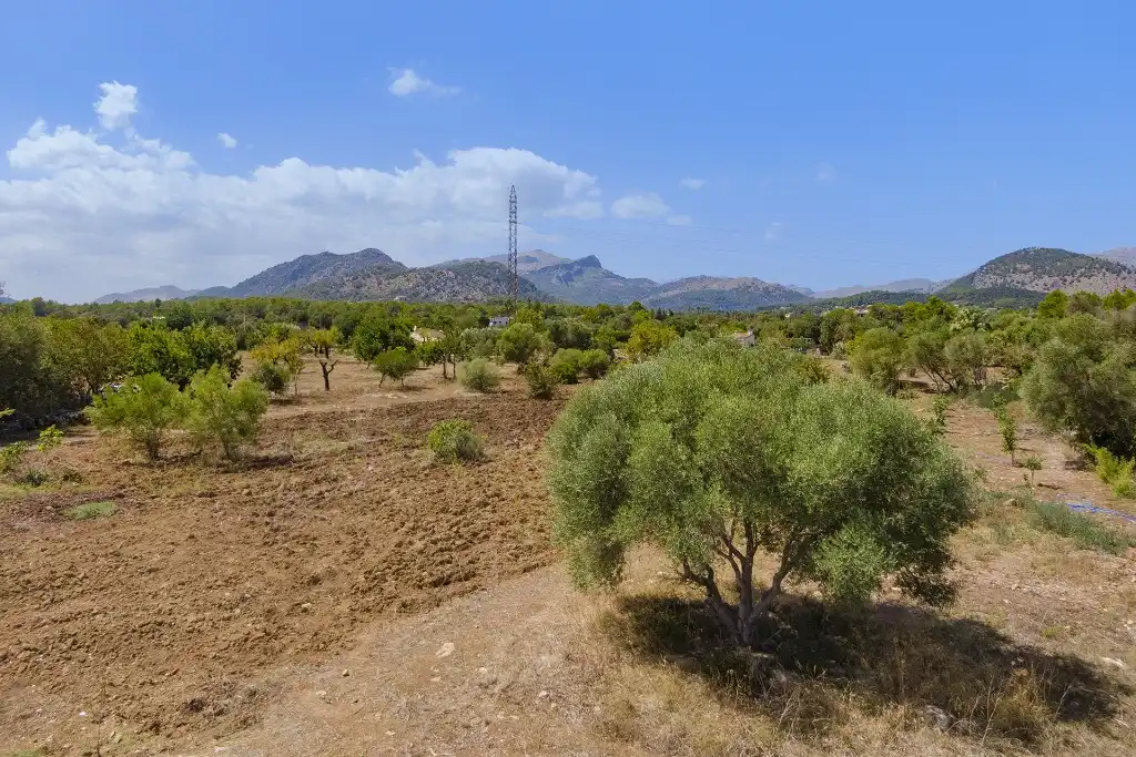 Rustikales Grundstück zum Verkauf in Pollença Poble, imagen 7