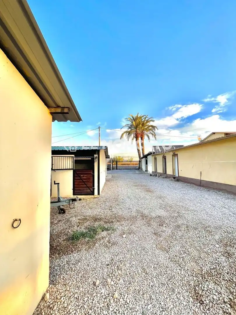 Casa con piscina en venta en Dolores, imagen 8