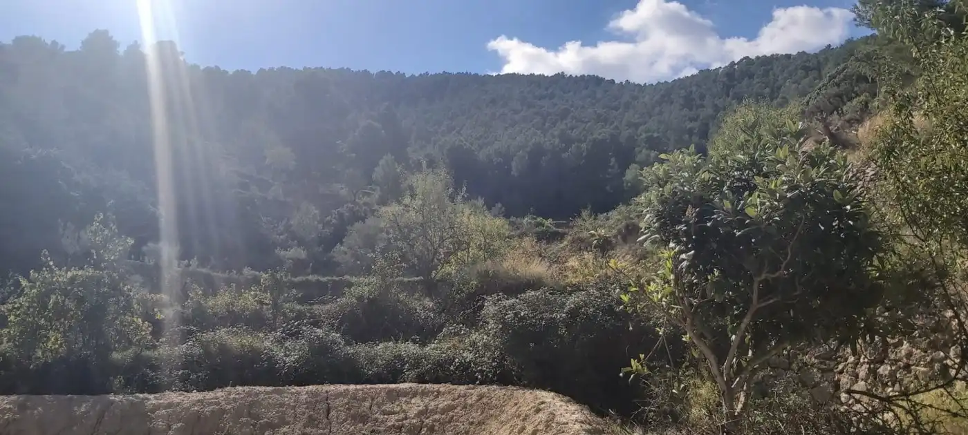 Terrenys i solars en venda a Relleu, imagen 3