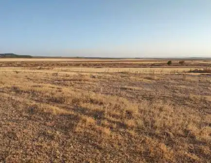 Terreni e lotti in vendita a Fuente Vaqueros, imagen 2