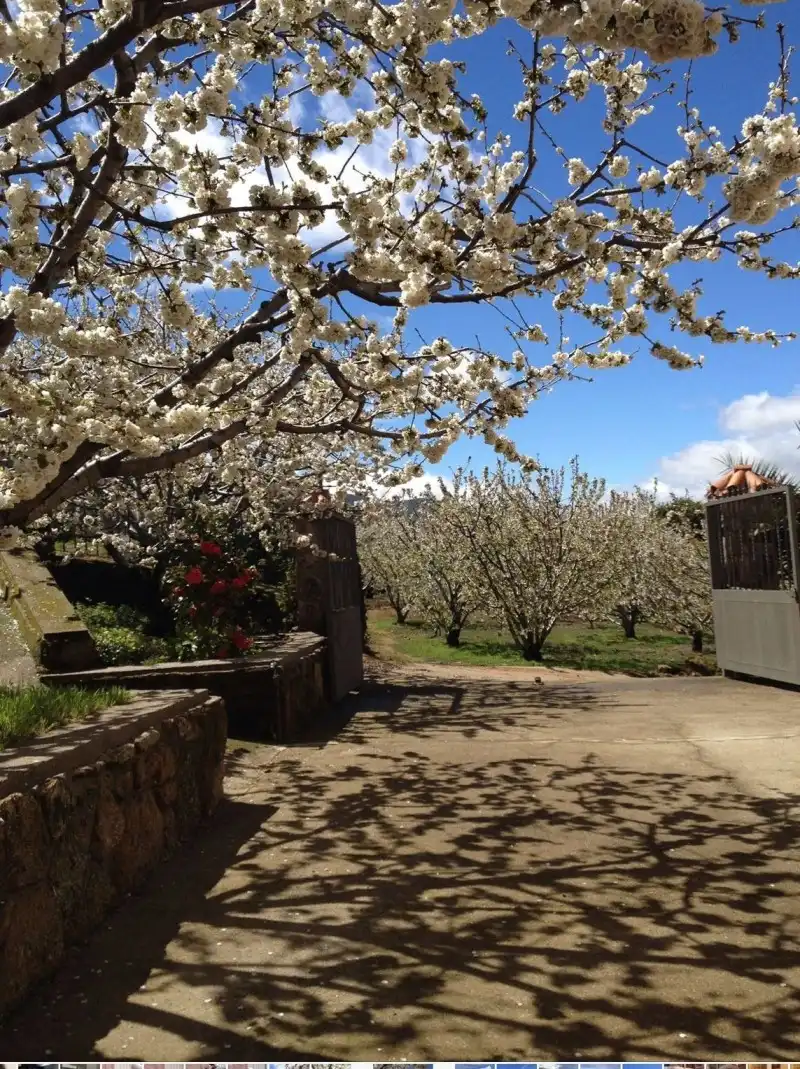 Jardí de Casa o xalet en venda en Valdastillas amb Aire condicionat, Calefacció i Terrassa