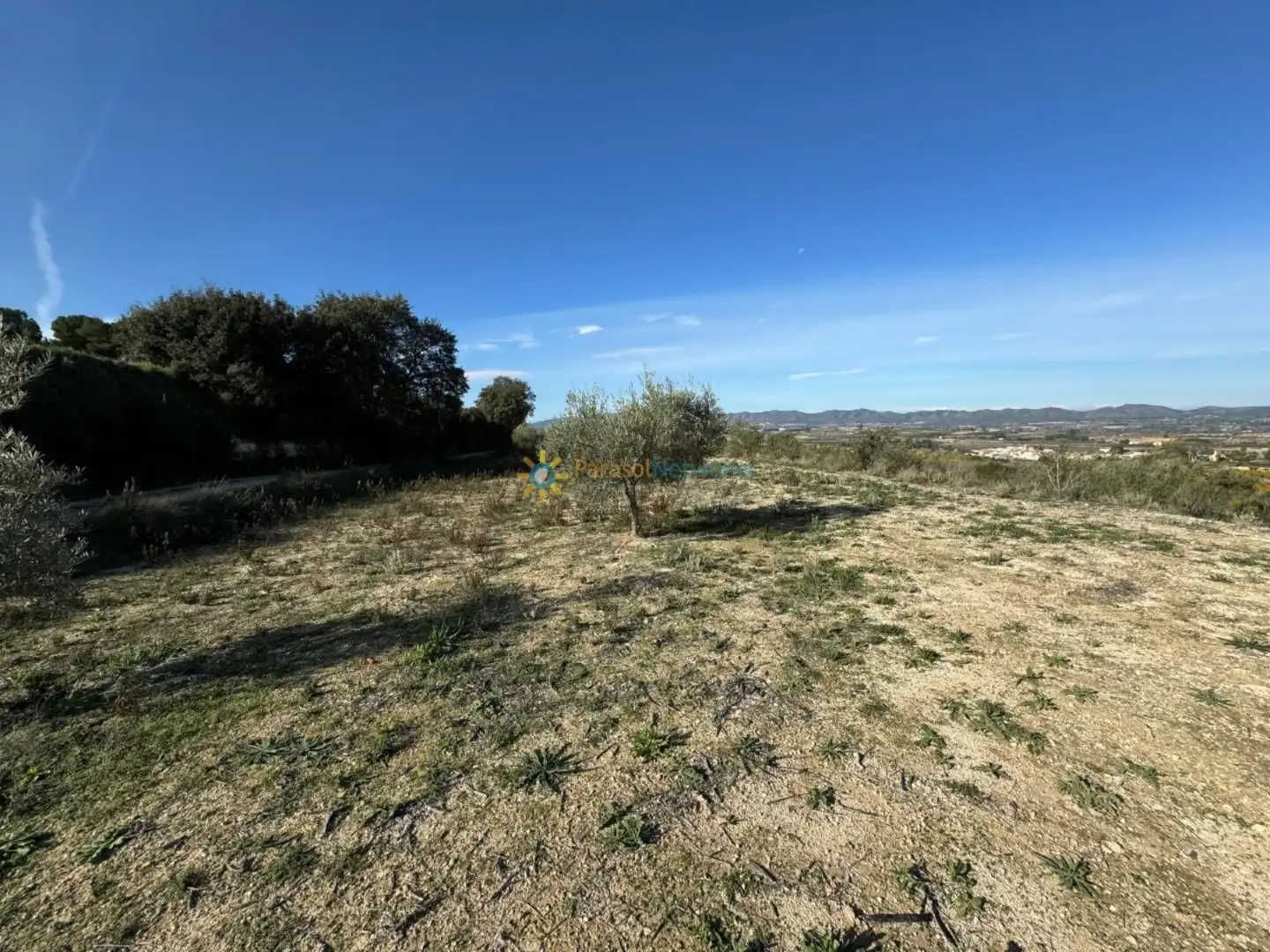 Casa rústica amb jardí en venda a El Palomar, imagen 21