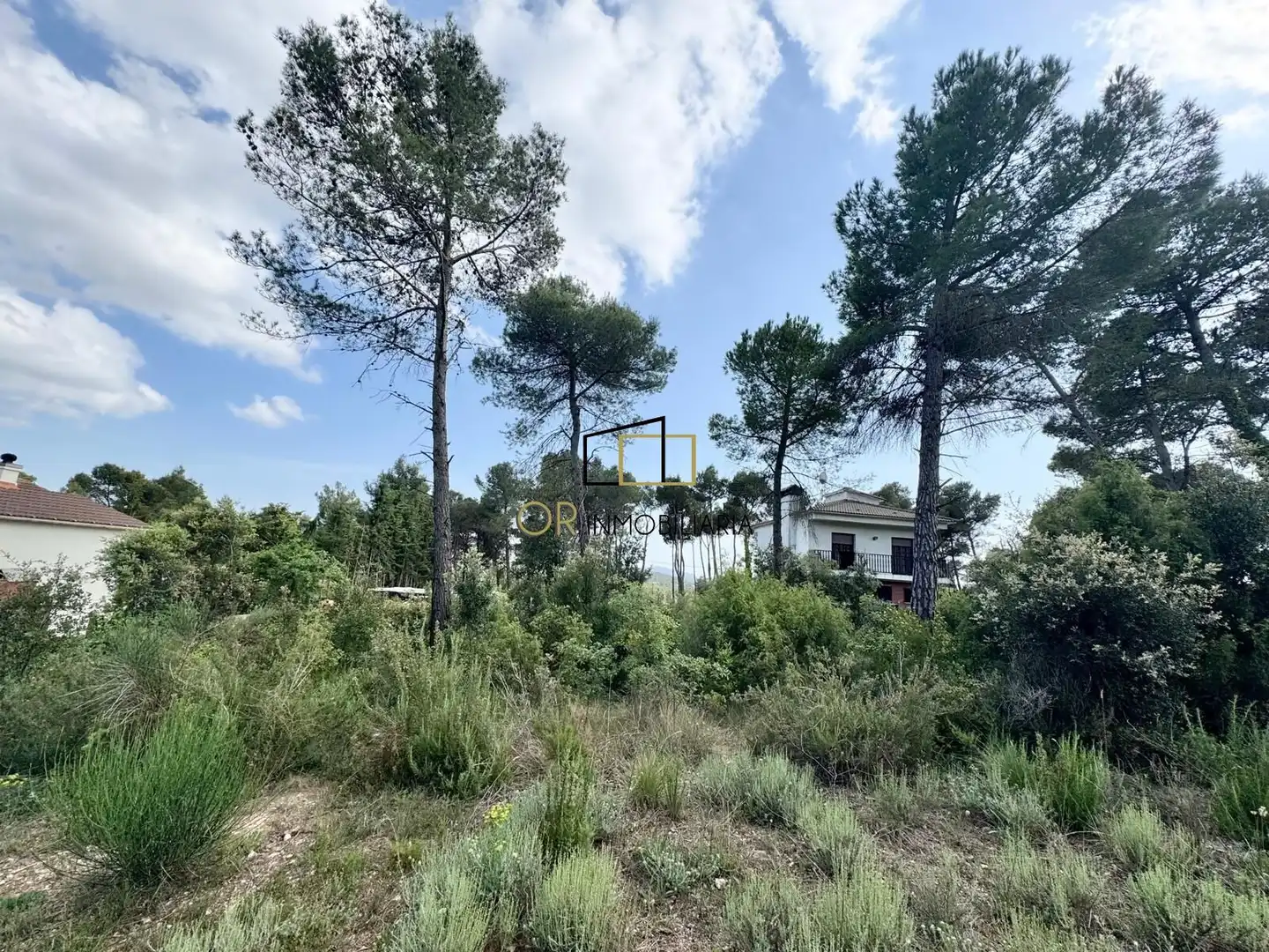 Residential land for sale in Pontons, imagen 9