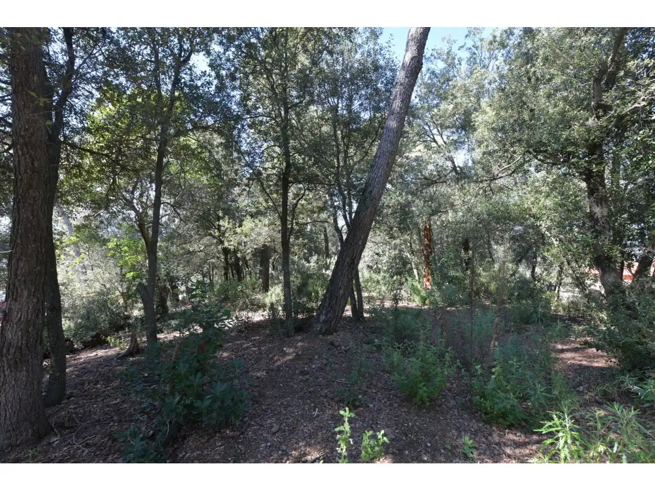 Wohnbaugrundstück zum Verkauf in El Racó - Sant Feliu del Racó, imagen 10