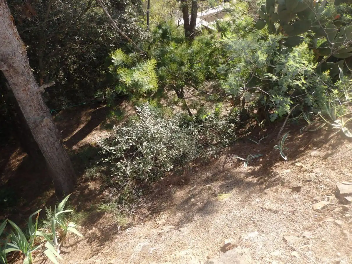 Terreno residenziale in vendita a Riudecanyes, imagen 3