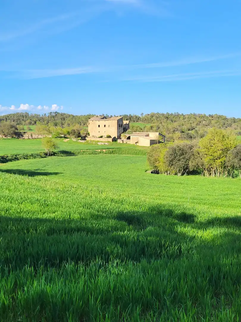 Terreno en venta en Pinell de Solsonès