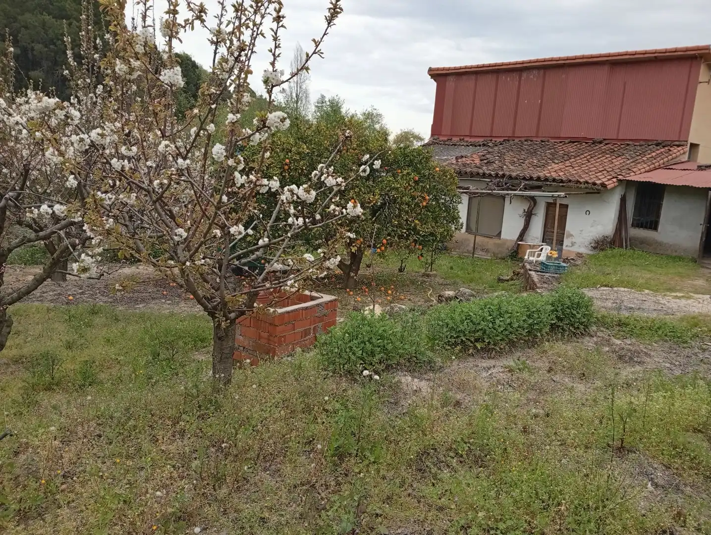 Terreni e lotti in vendita a Villanueva de la Vera, imagen 3