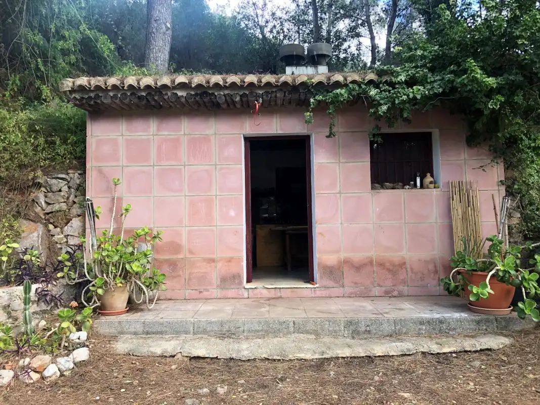 Vista exterior de Finca rústica en venda en Vilallonga / Villalonga