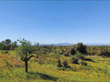Residential land for sale in Polígono Polígono 33 Parcela 436
