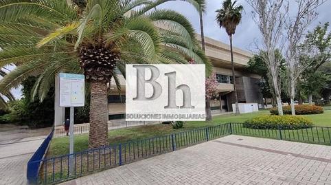 Foto 3 de Planta baixa en venda a Calle Dolores Cortes, 3, Barrio de Ciudad Jardín, Málaga