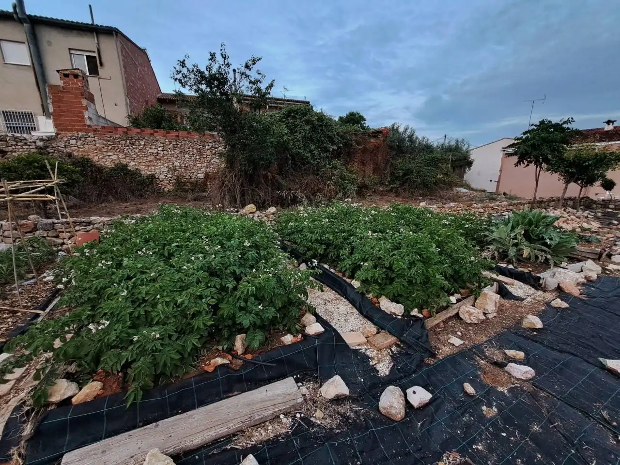 Casa o chalet en venta en Pinet con Jardín privado