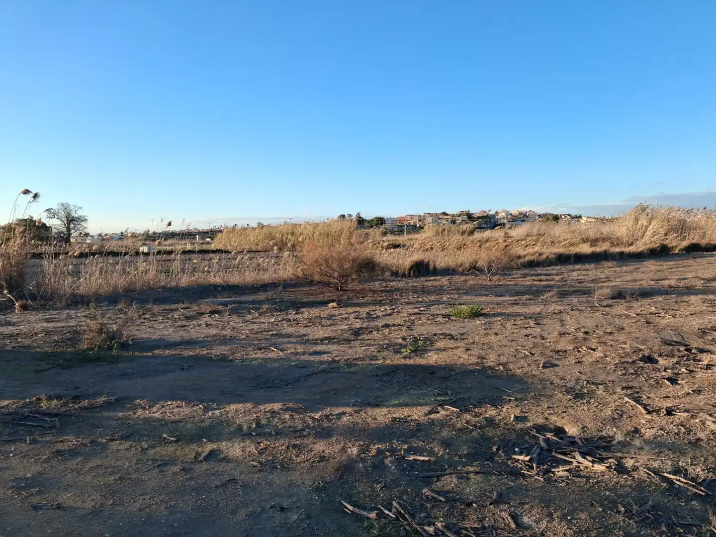 Terreno rustico in vendita a San Fulgencio, imagen 3