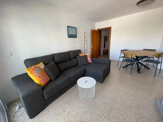 Living room of Flat for rent in Alicante / Alacant  with Air Conditioner, Heating and Terrace