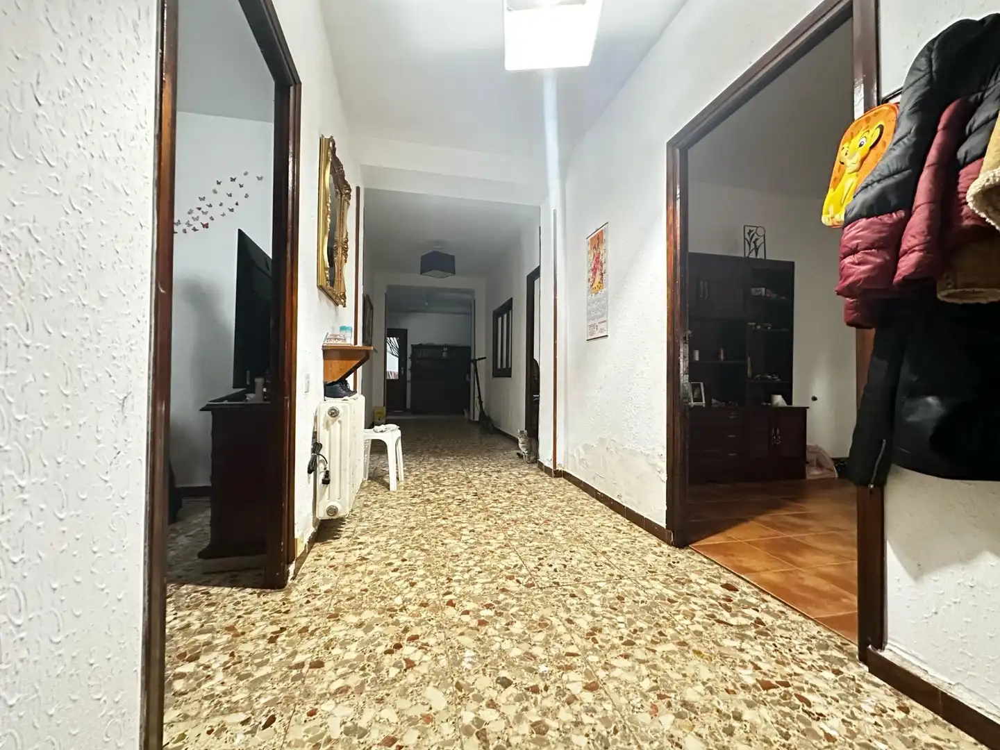 Detached homes for sale in Miguel Esteban
