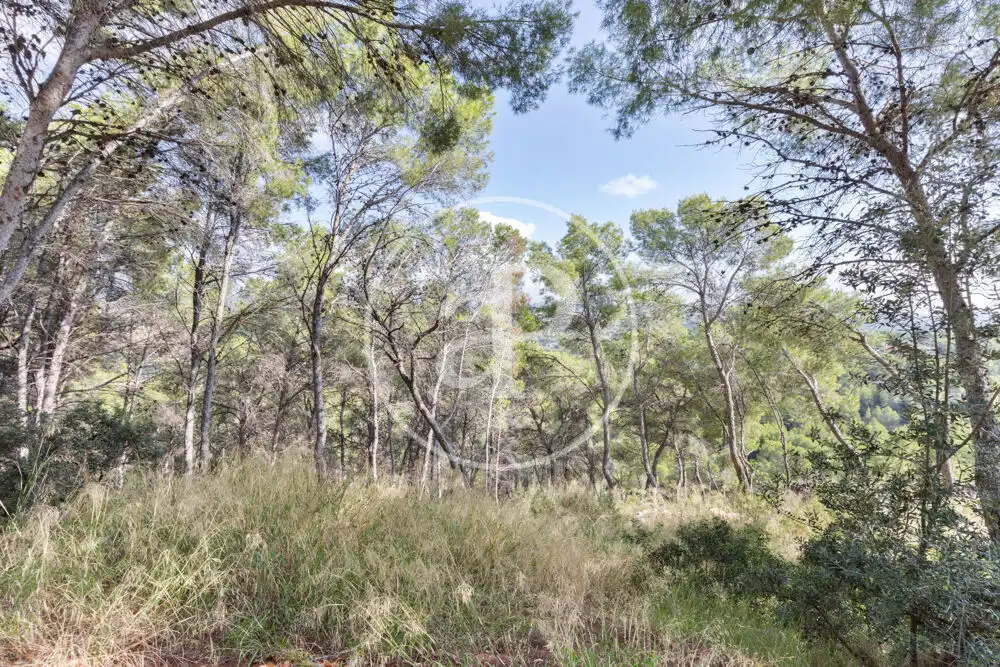 Terreno residenziale in vendita a El Bosque, imagen 13