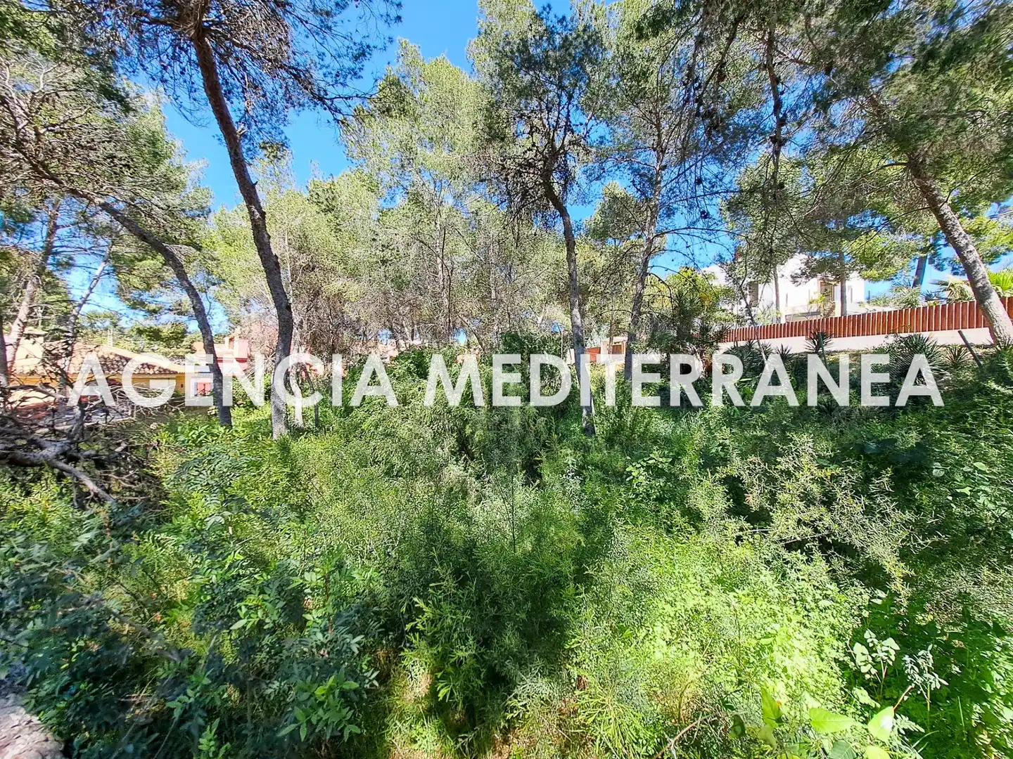 Terreny residencial en venda a La Cañada, imagen 8