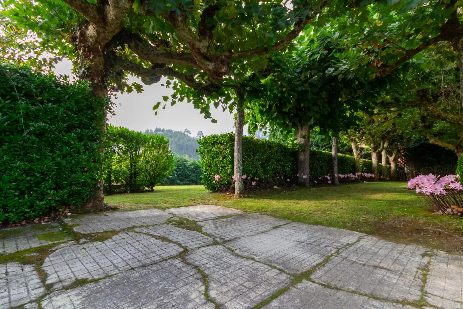 Villa con giardino in vendita a Calle Isla de la Erbosa 1A, imagen 13