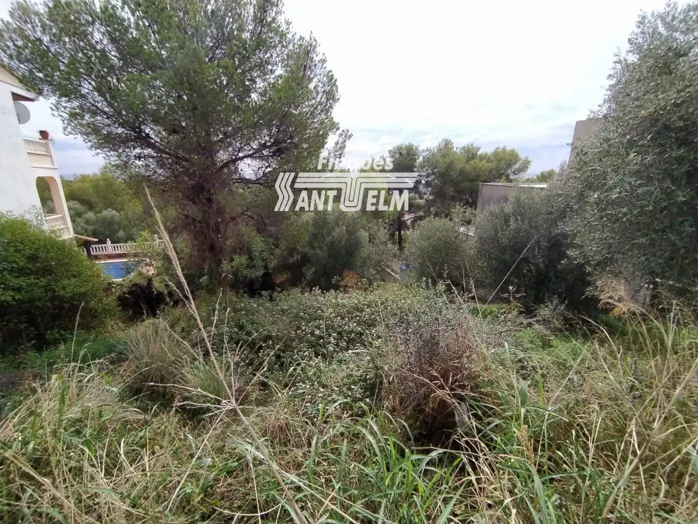 Terreno rustico in vendita a ANTILLES, imagen 5
