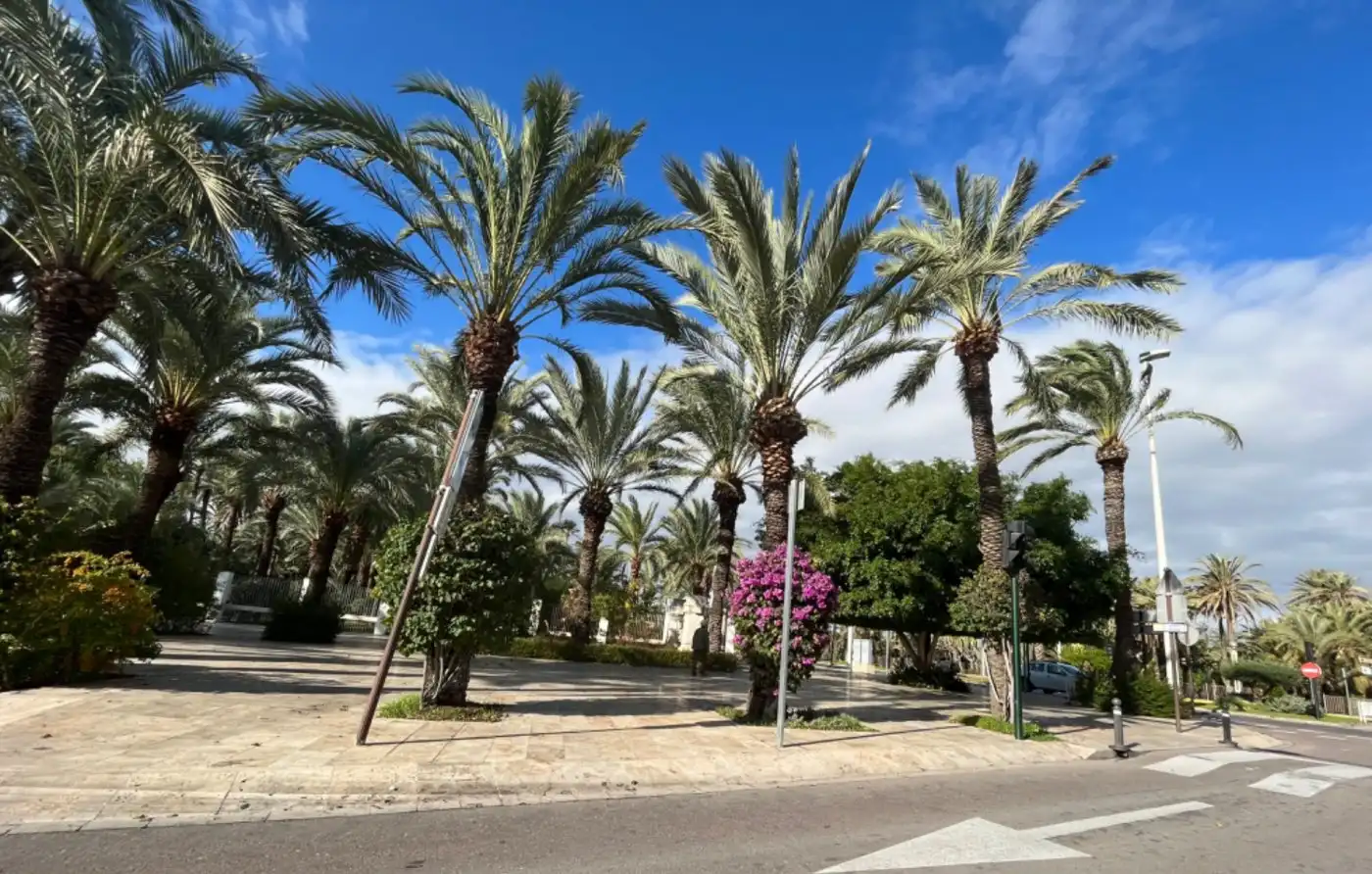 Exterior view of Ground floor for sale in Elche / Elx