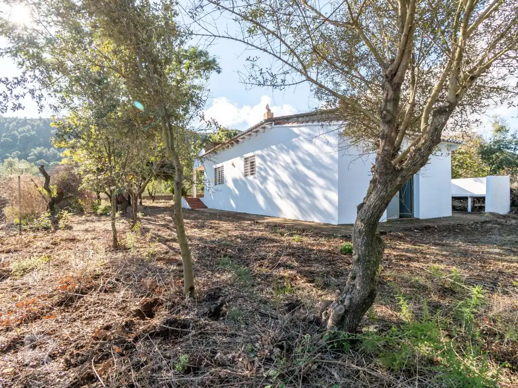 Jardín de Casa o chalet en venta en Vilallonga / Villalonga