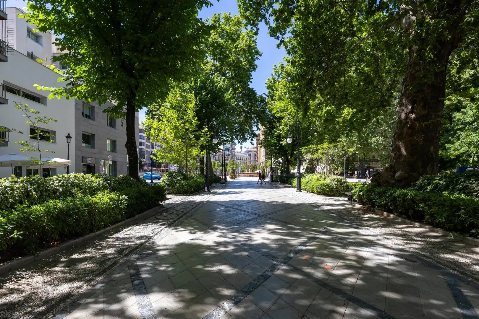 Business premises for transfer in Calle CARRERA DE LA VIRGEN 17, imagen 18