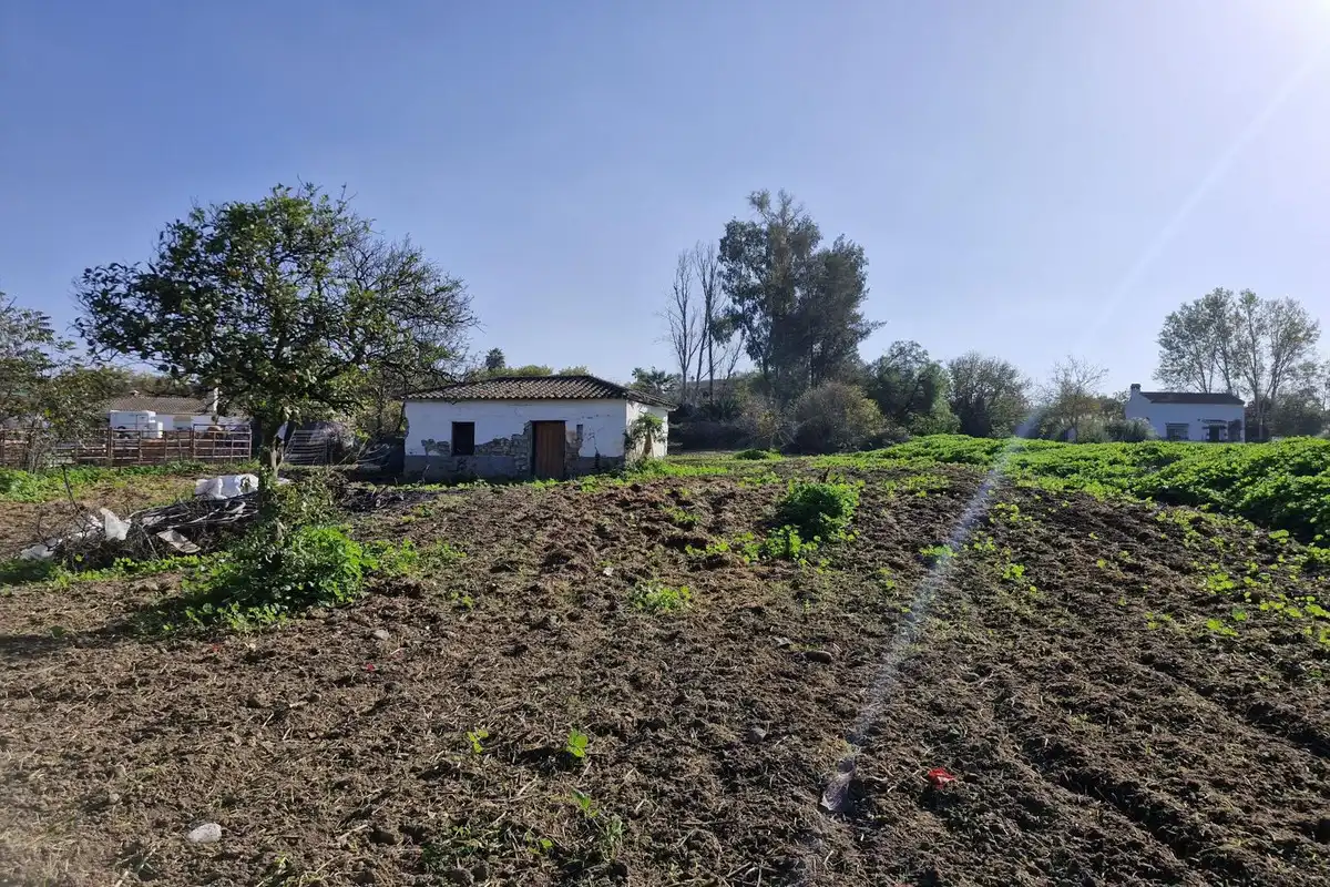 Terreni e lotti in vendita a Coín