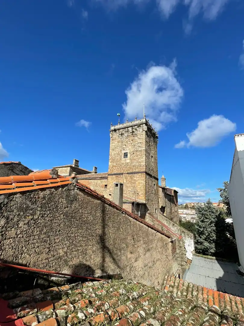 Maison avec terrasse à vendre à Calle Rúa Zapatería, imagen 4