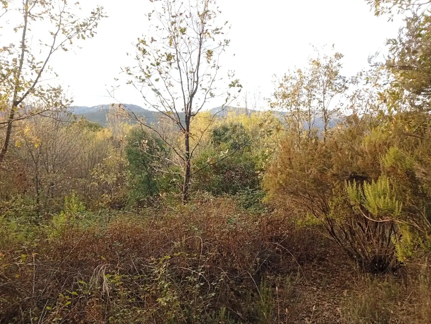 Terreni e lotti in vendita a Villanueva de la Vera, imagen 41