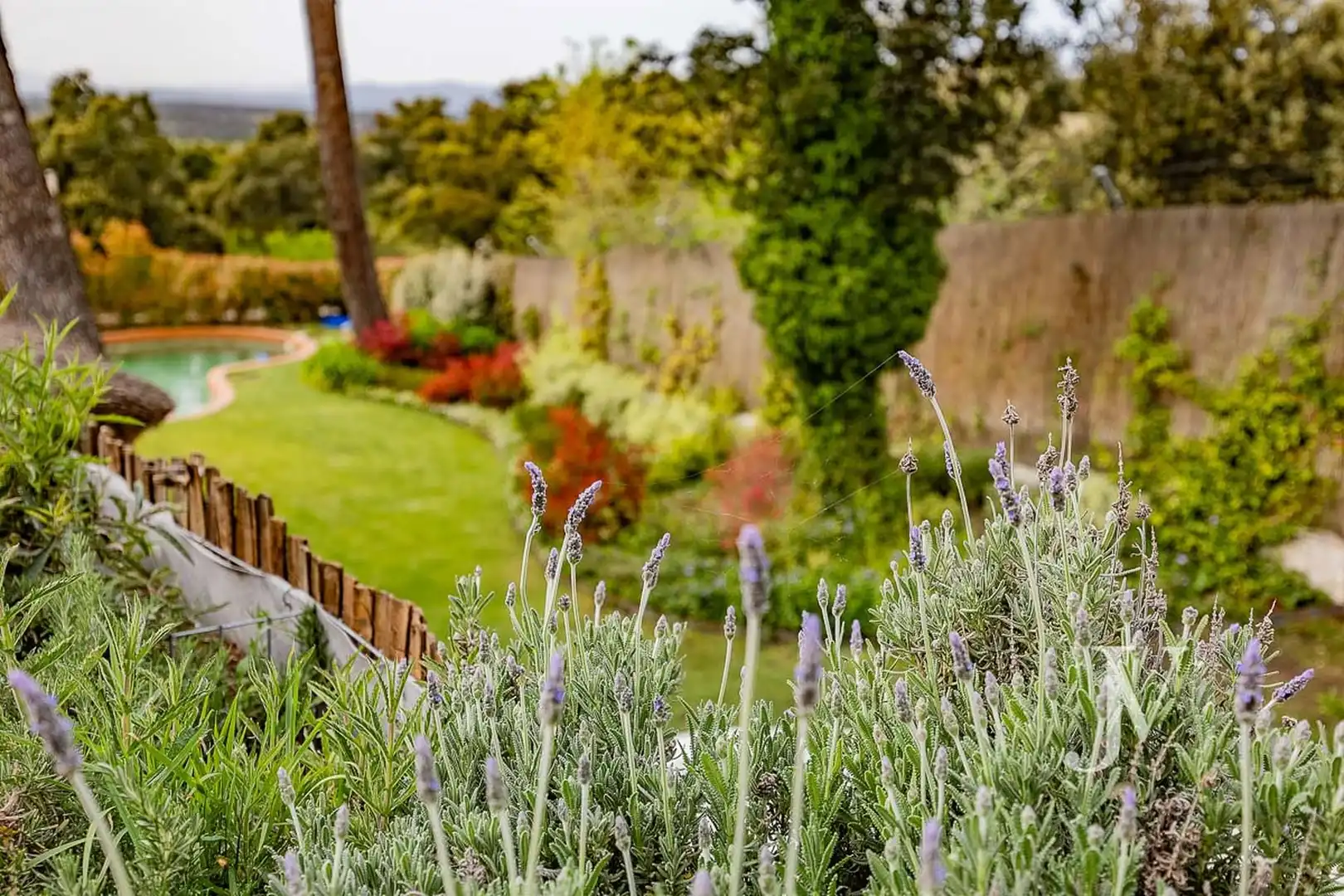 Haus oder Chalet zur Miete in Fuentelarreina, Fuencarral - El Pardo