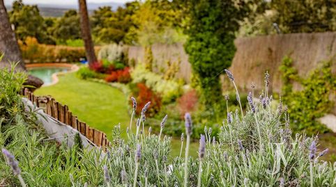 Foto 2 de Casa o chalet de alquiler en Fuentelarreina, Madrid Capital