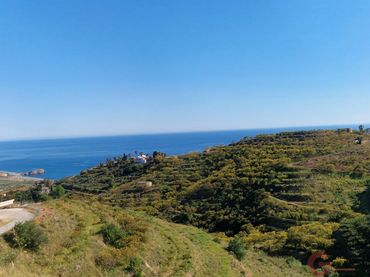 Grundstücke und Bauplätze zum Verkauf in Monte los Almendros - El Pargo - Costa Aguilera
