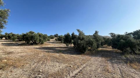 Foto 4 de Finca rústica en venta en Jauja, Lucena