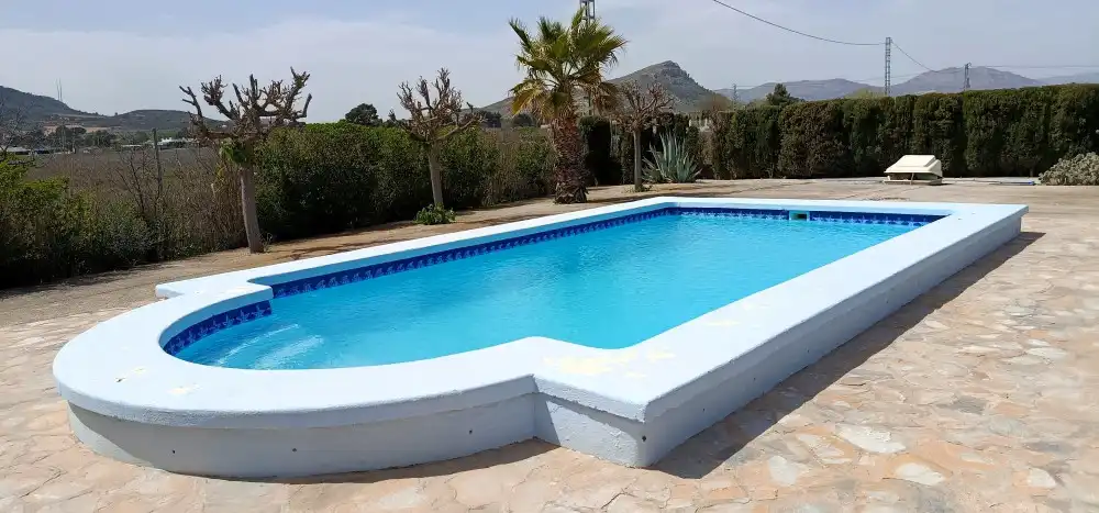 Swimming pool of Flat for sale in Villena